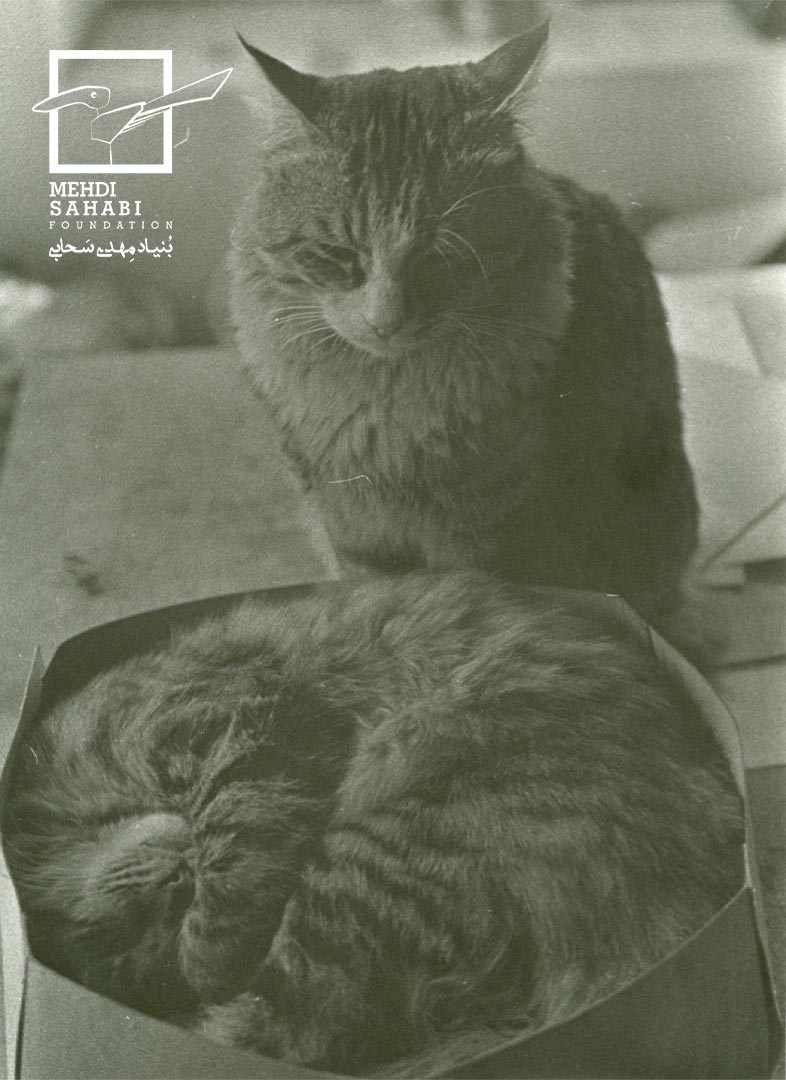 Collection of negatives / Artist’s personal archive