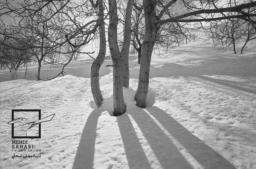 Collection of negatives / Artist’s personal archive