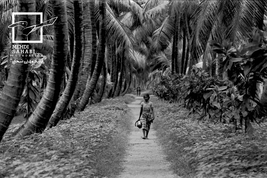 Collection of negatives / Artist’s personal archive